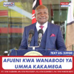 MAHAKAMA YASITISHA UTEUZI WA ZABLON MOKUA