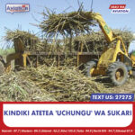 UCHUNGU WA SUKARI WAENDELEA KUJITOKEZA