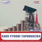 UPINZANI WAPIGANIA MCHELE