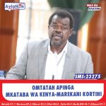 GACHAGUA: KURIA ANATUMIWA KUGAWANYA MLIMA