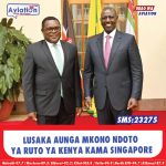 WAWEKEZAJI WA CHINA WAVUTIWA NA UWEKEZAJI KATIKA SEKTA MBALI MBALI KENYA
