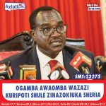 BABU OWINO AKANUSHA USHIRIKIANO NA GACHAGUA