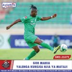 POLISI WAKAMATA WASHUKIWA SABA MUMIAS MASHARIKI