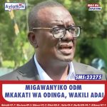 MIMI KATIBU WA OBURU? MTANISAMEHE- SIFUNA