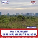 WINNIE ODINGA AHUDHURIA KONGAMANO LA LINDA GROUND