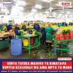 MASAI ALENGA KUJIKOMBOA KATIKA PARIS MARATHON