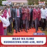 NPS YATAKA MABILIONI ZA UCHAGUZI