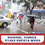 NPS YATAKA MABILIONI ZA UCHAGUZI
