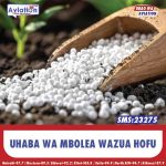 WAATHIRIWA WA MAANDAMANO WATHIBITISHWA