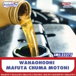 OGAMBA: SERIKALI IMETATUA DENI LA WACHAPISHAJI VITABU