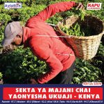 UTABIRI WAONYESHA MVUA KUENDELEA