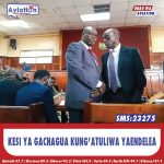 JAJI WARSAME AAPISHWA RASMI