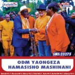 INGONGA AONYA WANASIASA WANAOCHOCHEA GHASIA
