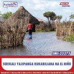 RUKU: SERIKALI INAHITAJI SHILINGI BILIONI 10 KUKABILI UHABA WA CHAKULA