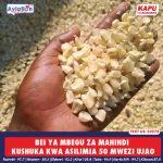 BEI YA MBEGU ZA MAHINDI KUSHUKA KWA ASILIMIA 50 MWEZI UJAO.