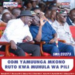 NYONG’O: DIRA YA 2060 SI MRADI WA KISIASA