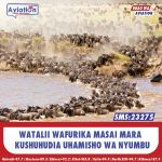 MUTAMBU: UCHAGUZI MKUU UNAPASWA KUFANYIKA LEO