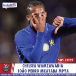 MAHAKAMA YASIMAMISHA MRADI WA BARABARA KATIKA MSITU WA BARABARA YA NGONG