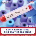 KENYA YAADHIMISHA MASHUJAA 264 WA TAIFA
